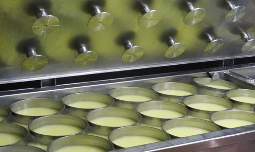 PROCESSUS DE FABRICATION : du lait au fromage, en passant par le savoir-faire du fromager