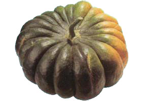 musquée de provence