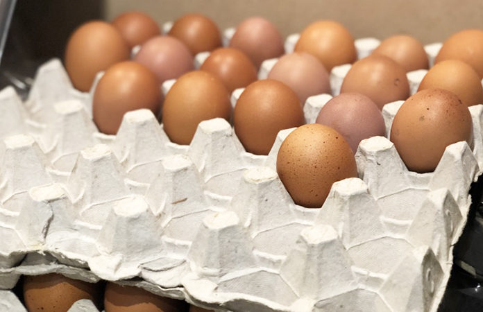 oeufs