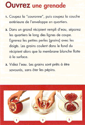 ouvrir une grenade