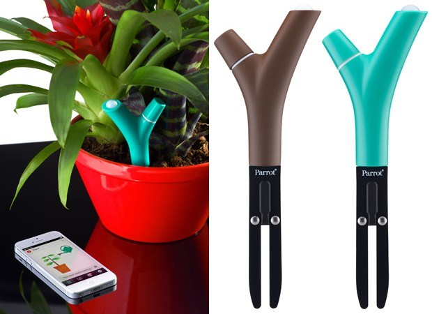 plantes