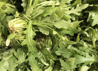 Roquette