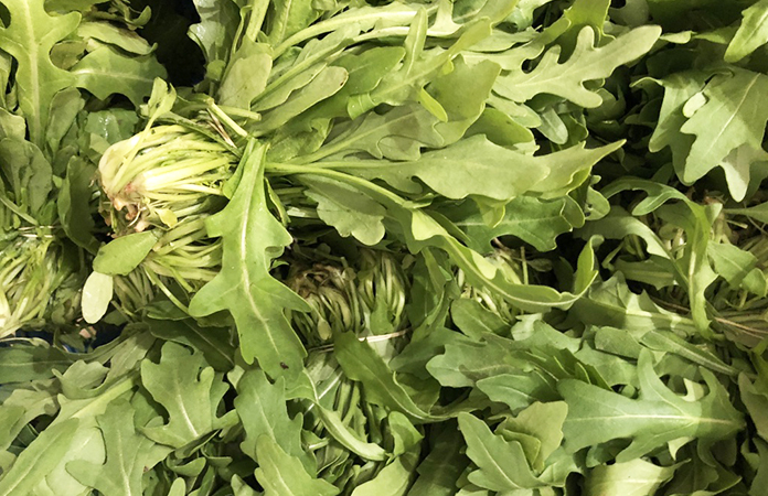 Roquette
