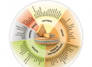Le Comté fromage de terroir