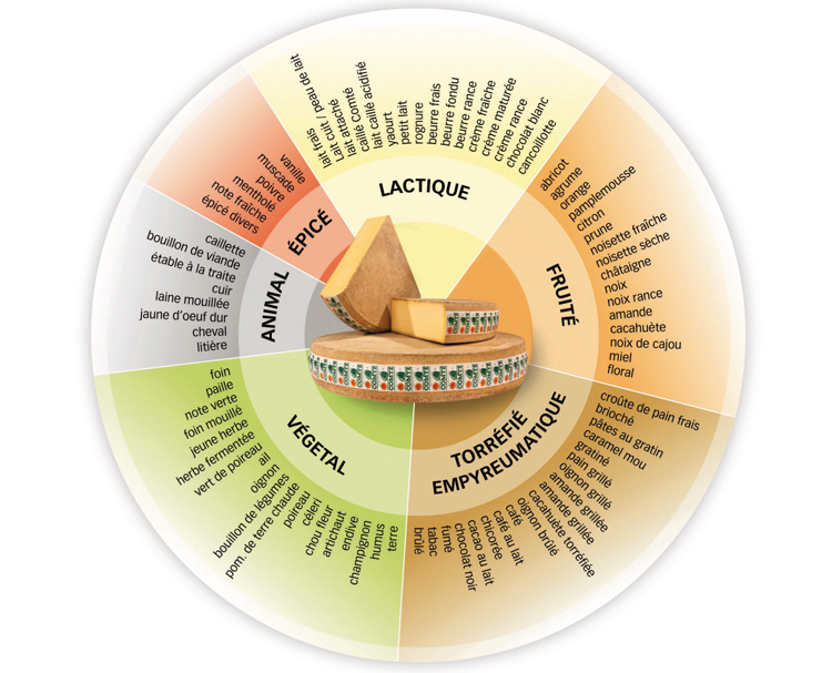 Le Comté fromage de terroir