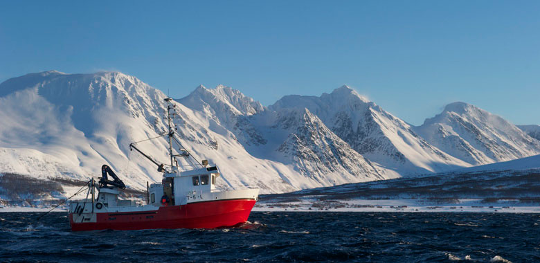 Le Skrei, vous connaissez ?