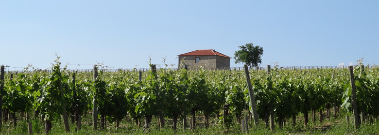 Quinta de Lemos