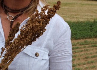 Le quinoa : petits grains d’énergie, super aliments