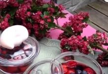 Soupe aux fruits rouges