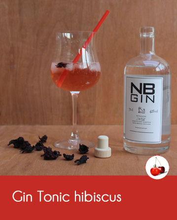 Gin Tonic hibiscus