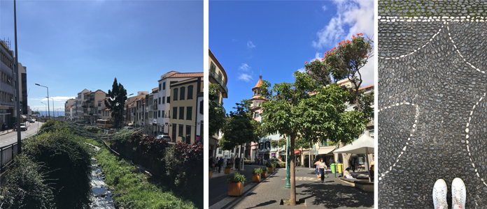 Madère - Funchal