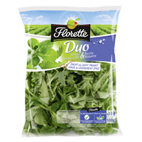 packshot-florette