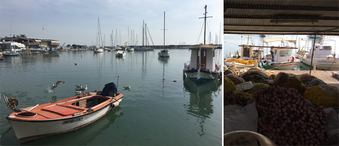 Visite du port du Pirée à 30 minutes de la capitale d’Athènes