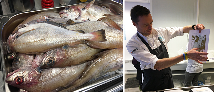 Le poisson sur les étals belge, visite de la criée à Zeebrugge 