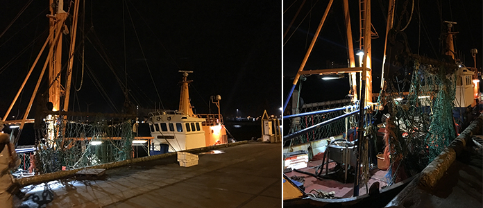 Le poisson sur les étals belge, visite de la criée à Zeebrugge 