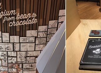 Le chocolat Beanology | De la fève au cacao par Callebaut