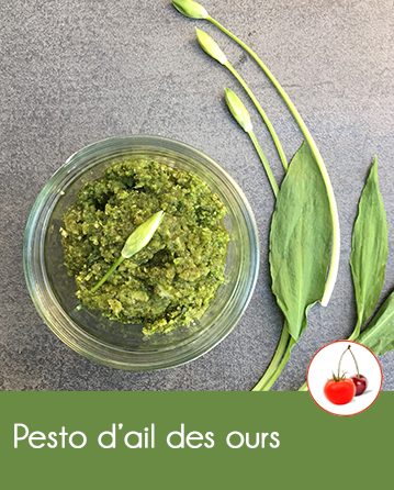 Pesto d’ail des ours