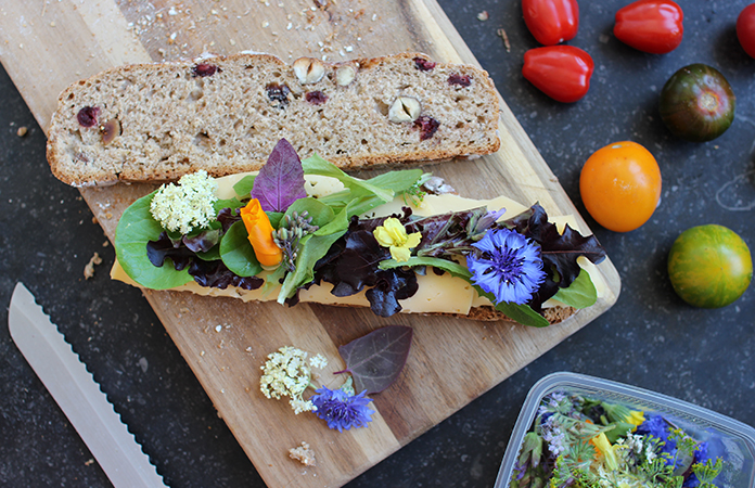 Tartine au Pain de seigle noisettes et airelles