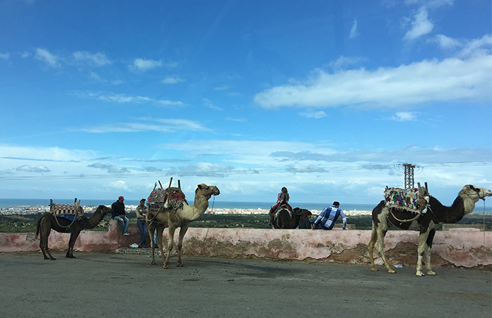 Route Essaouira