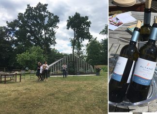Pique-nique sous le soleil avec les vins portugais Altano