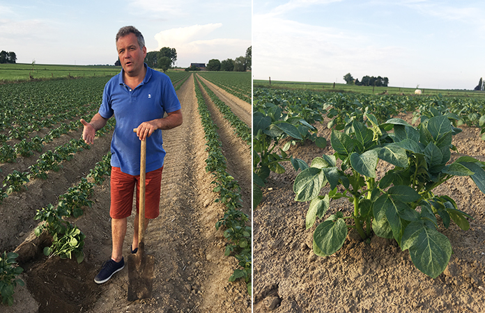 McCain la frite produite en Belgique ? Rencontre avec l’un des agriculteurs, Bernard Dutrieux