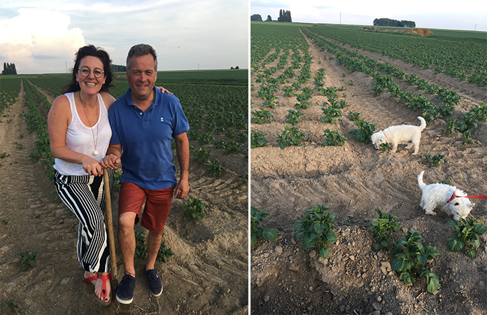 McCain la frite produite en Belgique ? Rencontre avec l’un des agriculteurs, Bernard Dutrieux