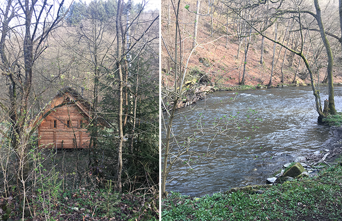 Rensiwez | Une nuit dans une cabane au milieu des bois