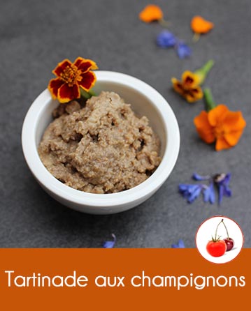 Tartinade aux champignons