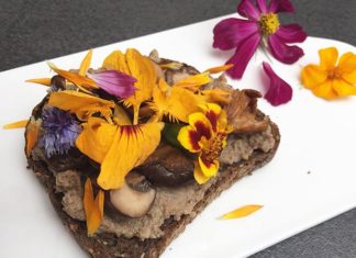Tartinade aux champignons