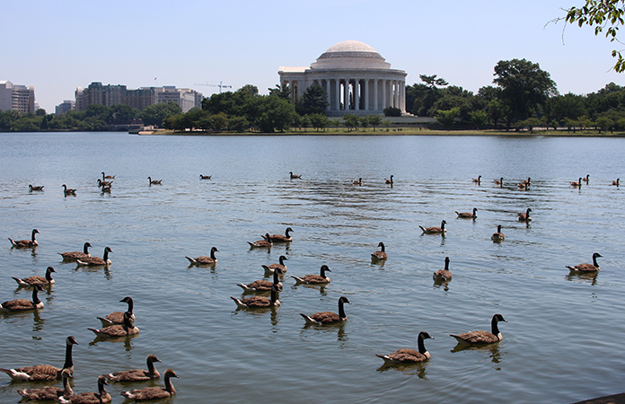 Thomas Jefferson Memorial