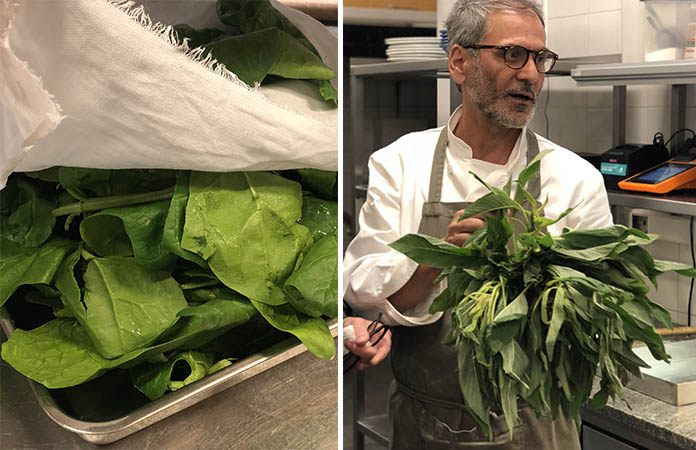 Feuilletés aux herbes comme en grèce NOTOS