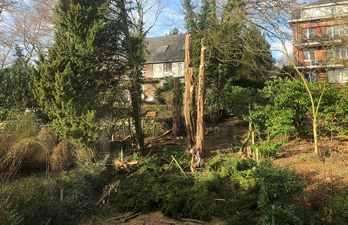 Aménager un jardin de ville en pente