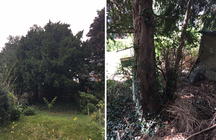 Aménager un jardin de ville en pente