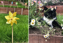 Aménager un jardin de ville en pente