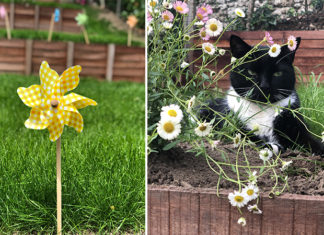 Aménager un jardin de ville en pente