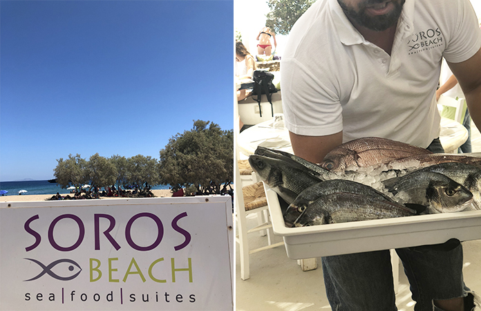 Anti Paros Soros Restaurant