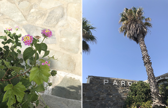 PAros