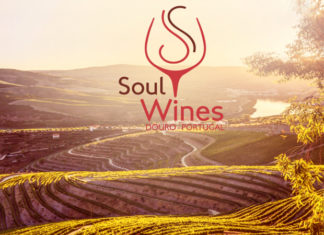 Découverte des vins de la vallée du Douro