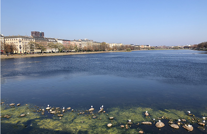 Torvehallerne Copenhague