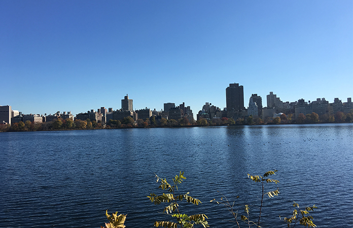 New York Central Park