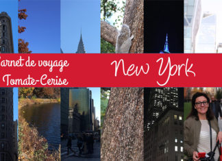 New York que faire ? Comment s’y retrouver ? | Tomate-Cerise.be en voyage sur la Côte Est USA