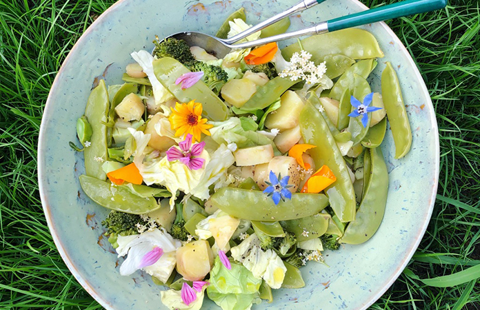 salade Brocoli / Mange-tout / Iceberg