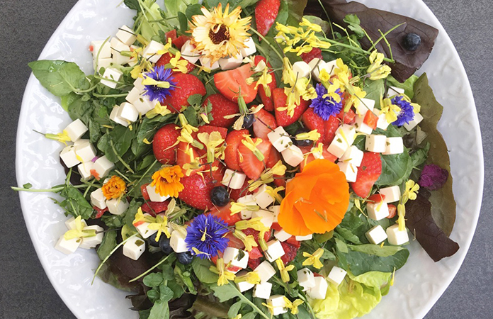 Laitue / fraises / Feta salade