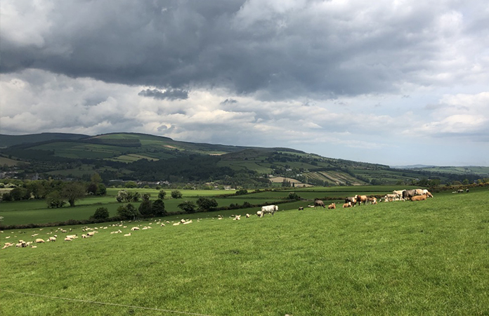 Ferme Irlande