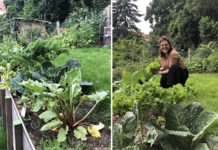 Avoir un potager en ville