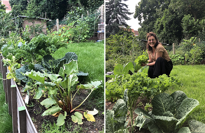 Avoir un potager en ville