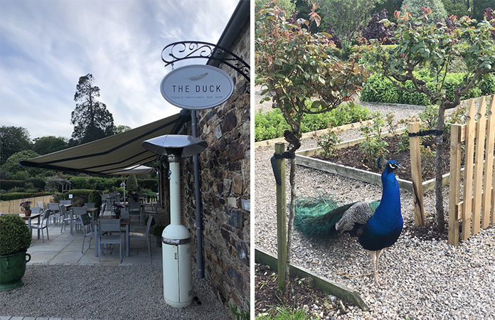 The duck restaurant Irlande