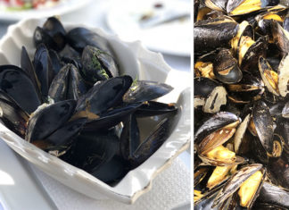 Moules au curry rouge | Une recette aux saveurs asiatiques