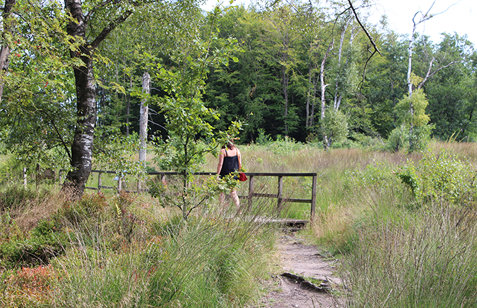 Se balader dans les fagnes