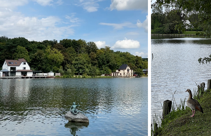  La brasserie du Lac de Genval